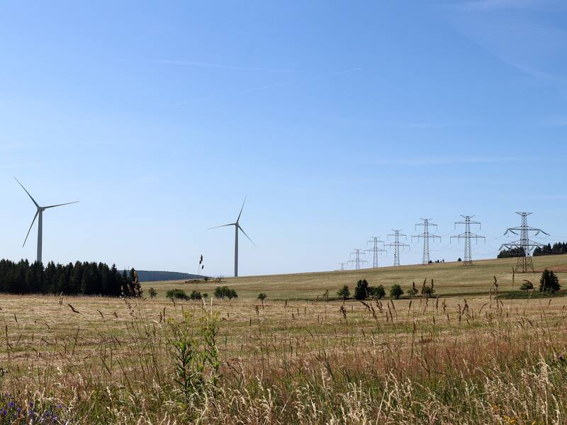 In einer weiten Landschaft mit Wiesen und Bäumen sind mehrere Windkraftanlagen und Strommasten zu sehen.