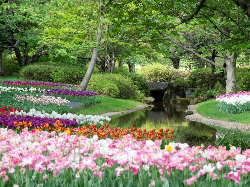 Ein Fluss durch eine grüne Wiese. Auf beiden Seiten neben dem Fluss sind große und bunte Blumenwiesen. Den Fluss weiter runter sind viele große Bäume und eine Fußgängerbrücke. 