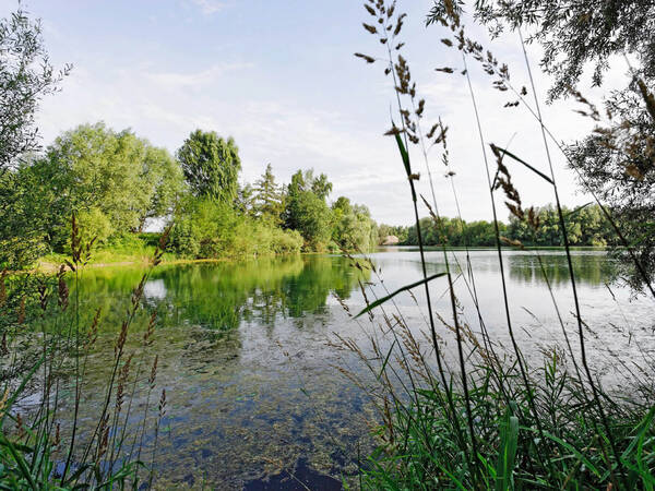 Der Hittisee vom Ufer aus. Rundherum viel grün durch Bäume, Gräser und Gebüsche. 
