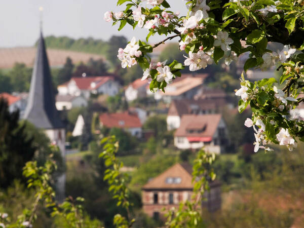 Dächer der Stadt Hithausen. Im Vordergrund der blühende Ast eines Baumes. 